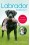 Pippa Mattinson: Labrador kézikönyv - Útmutató a gondozáshoz és képzéshez